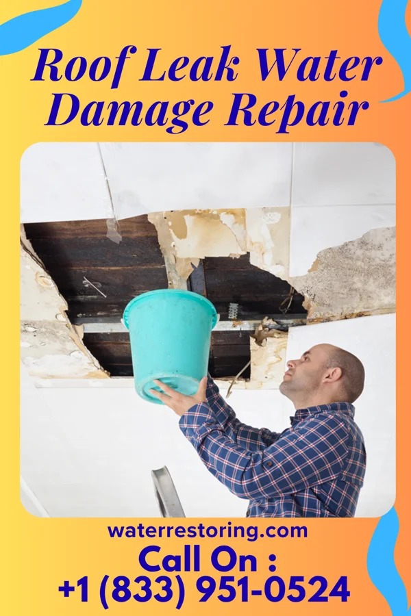 Roof Leak Water Damage Repair in Gunnison, UT